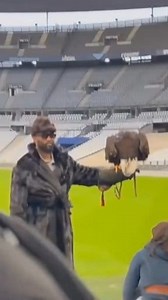 196K views · 8.5K reactions | ✨ Fally Ipupa : Les coulisses du tournage du spot de son concert au Stade de France | Eventsrdc.com | Facebook