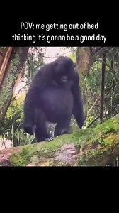 Mount Vesuvius, located near Naples, Italy, is famous for its catastrophic eruption in 79 AD, which buried the Roman cities of Pompeii and Herculaneum under ash and pumice. Thousands died in the disaster, which preserved the cities remarkably well, offering insights into ancient life. Vesuvius remains one of the most dangerous volcanoes due to its history of eruptions and proximity to densely populated areas. Geologically, Vesuvius is a stratovolcano formed by the subduction of the African plate