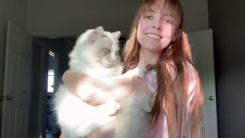 Get to know the gentle Ragdoll cat breed