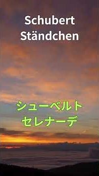【フルート&ギター】シューベルト : セレナーデ / Schubert Ständchen