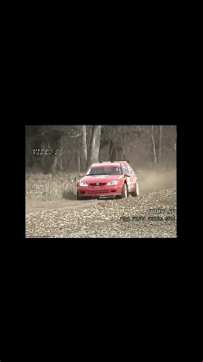 Citroen Saxo nei rally