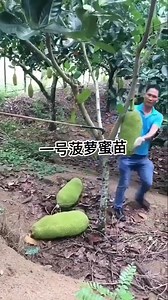 123K views · 3.2K reactions | Indian Agriculture on Reels | Facebook