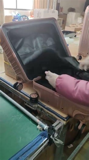 Inside a Luggage Factory: Skilled Workers Inspect Every Detail for Premium Quality