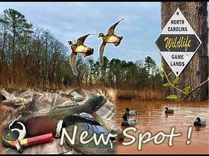 Prettiest Wood Duck I have EVER Killed | Public Land SUCCESS | Talking BANDS