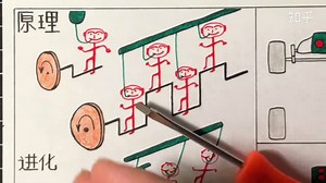 发动机的排列和布局。V6,V8,直列，纵置横置，前驱后驱都是啥？