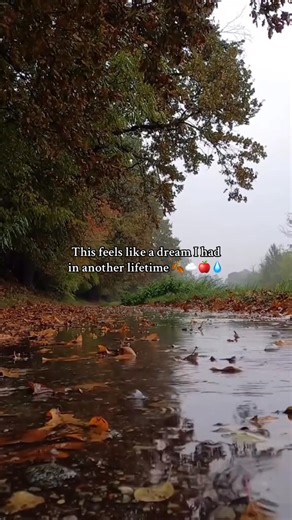 74K views · 7.5K reactions | This feels like a dream I had in another lifetime 殺 #autumnvibes #fall #HelloAutumn #CozySeason #SweaterWeather #PumpkinEverything #FallAesthetic #CrispAir #LeavesFalling #viralreelsシ #foryoupagereels | Autumn Blessings | Facebook