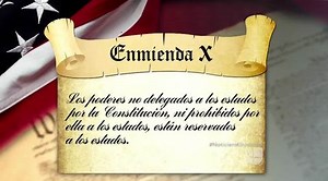 Constitutional law experts say Trump may be violating constitutional amendments