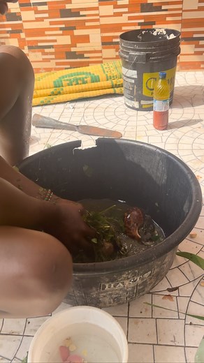 Awogbile Ifadayo on Instagram: "What is Isefa “Hand Of Ifa” Isefa, or Receiving One Hand of Ifa, is a ritual (ceremony) marking a major milestone in the Ifa / Orisa journey. Isefa is long-known to help devotees develop spiritual intimacy with their Ifa and Ori inu (inner head), as well as help them navigate through life with heightened, greater tranquility. So what is a “Hand” of Ifa, anyway? Isefa is called one Hand of Ifa, because it is a precursor step to full Ifa Initiation (Tefa), where one