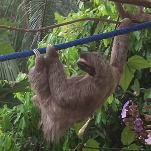 8.5K views · 862 reactions | Won't you help us build much needed...