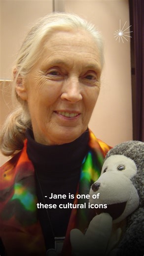 Dr. Jane Goodall's observation of chimpanzees using tools redefined what it means to be human. the Jane Goodall Institute's Anna Rathmann explains. | John Templeton Foundation