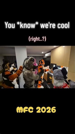 What SFW Furcon room parties look like #melbournefurcon #Mfc2026 #furryroomparty @HerbieEb