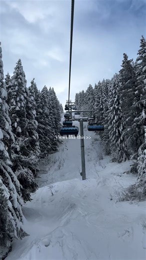 3.1K views | Want to experience views like this all week long?  Book Snowbombing 2024 and live life in paradise this April! Ski all day, party all night and make incredible memories with your best pals. ✨ Enjoy a week-long whirlwind of mountains and music in the ski paradise of Mayrhofen, Austria.  LAST CHANCE to grab your ticket! Book now or miss out 勞  bit.ly/SB-24 | Snowbombing | Facebook