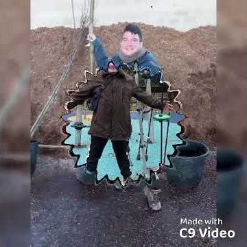 Lorenzo carobbi 2025 • Daddy yankee con calma tik tok remix skills foto