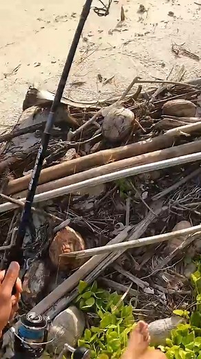 122K views · 1.9K reactions | What a lucky shot, right next to camp! | Back 2 Basics Adventures | Facebook