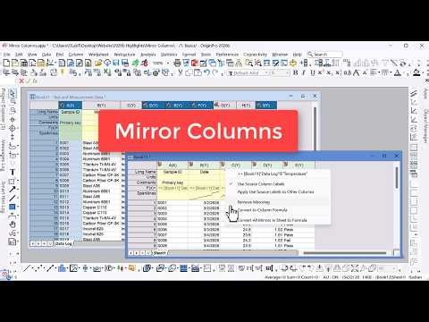 Mirror columns Basics