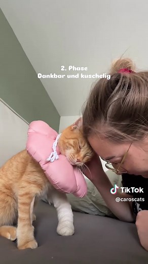 Katzenleben: Gefühle und Momente mit meiner Katze