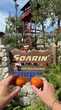Disneyland wait times vs actual wait times! #disney #disneyland #disneyparks #subscribe #fyp #shorts
