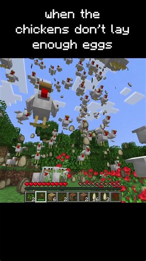 chickens don't lay enough eggs 💔🥚