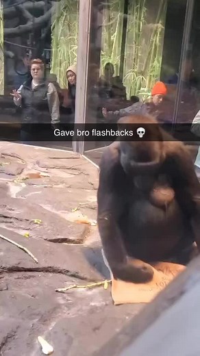 #btd6 #bloonstowerdefense #funny #silly #monkey #gorilla #flashbacks #goblin #teehee #zoo #bloons #fyp #btd5 #puddleorportal