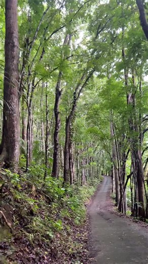 #nature #foryou #fyp #view