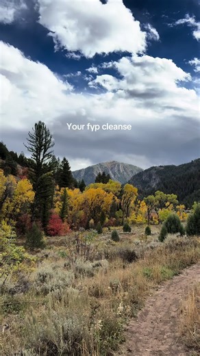Experience the Serenity of Utah's Mountains and Birds