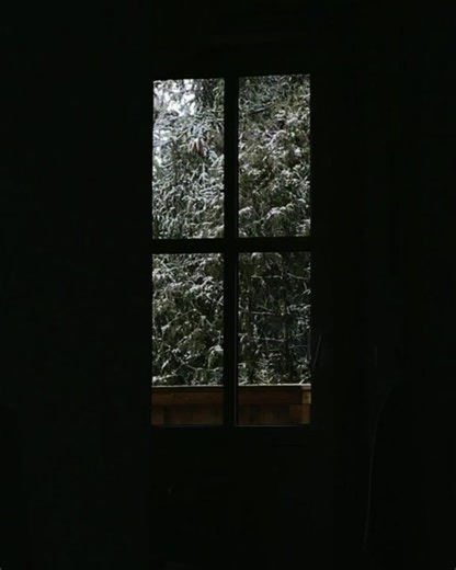 Captivating Winter Beauty in a Snowy Landscape