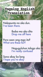 509K views · 5.6K reactions | #education #educational #sictraining #educacionfinanciera #basicenglish #basic #basictraining #educationmatters #EnglishTeacher #tagalogtoenglish | Learning Tagalog English Translation | Facebook