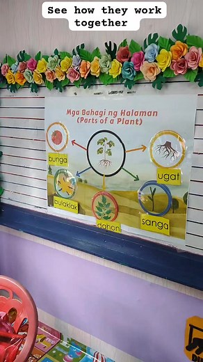 6K views · 83 reactions | Small group activities are a good way of teaching social skills, taking turns and sharing. It also provide opportunities for leadership, cooperation and peer interaction. #groupactivities #kindergartenactivities #differentiatedlearning #KindergartenLife #kindergartenteacher #KinderSkills #Socialization #leadershipskills | Teacher Carla | Facebook