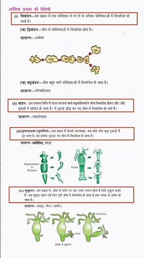 methods of asexual reproduction