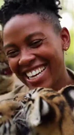 20 tiger cubs, endless cuddles. 🐯💛#tigercubs #ZooLife #Wholesome #AnimalLove #FeelGood