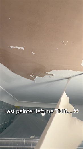 Understanding Paint Failure: Peeling and Bonding Issues