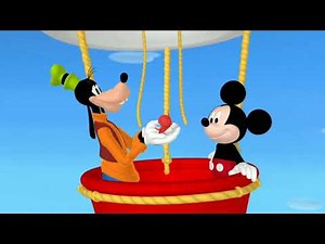 We Give Baby Red Bird Blueberries To Eat