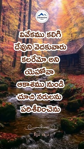 Psalm 14:2 – God Is Looking for This 👀📖