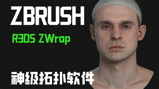 ZBrush黑科技插件！自动拓扑人形，3D扫描变形插件R3DS ZWrap V1.1.3版