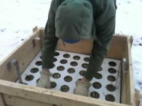 Slow Feeder Box that's simple and works!.m4v