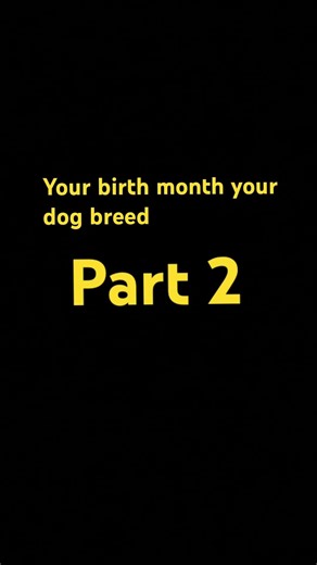 Your birth month your dog breed (pt:2) #dogsrule