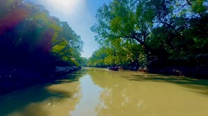 ক্যানাল ক্রুজিং | MV. The Explorer