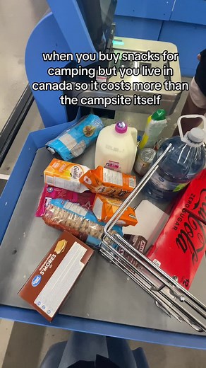 i dare you to guess how much the total was (and at Walmart too!!) #vancouver #canada #housingcrisis #inflation #vancouverlife #canadiantiktok #canadalife #relatable #fraservalley #foodprices #groceryshopping #groceryprices #foodtiktok #foodprices #canadiancheck