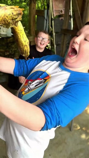 😂 UNBELIEVABLY Funny Turtle Moments That Will Make You CACKLE! 🐢 #turles #animals #shorts