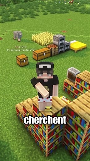 Viens créer TON territoire 😈 PLAY.LOBBECUBE.FR #minecraft #serveur #java #minecraftsemirp