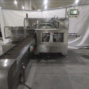 [Hot Item] Automatic Horizontal Bagging Machine for Versatile Packaging Solutions