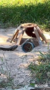 1.4M views · 7.7K reactions | Snake traps Highlights | Young star king of doings | Facebook