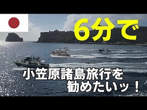 6分で小笠原諸島旅行をオススメします。船で24時間かけて行く海洋島の魅力とは！？