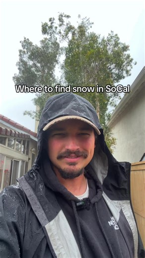 Palm Springs Aerial Tramway: Your Quick Snow Access