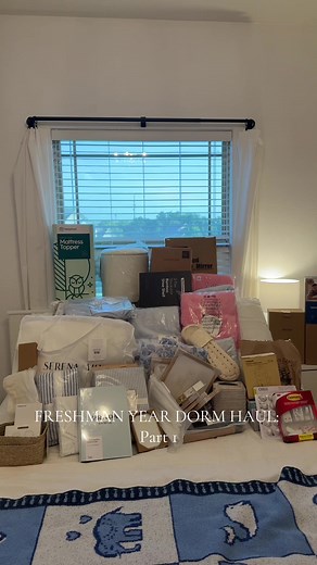 Freshman Year Dorm Essentials: Must-Have Items