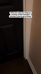 2M views · 169K reactions | bringing our “good morning”series to fb | Annabelle and Norman | Facebook