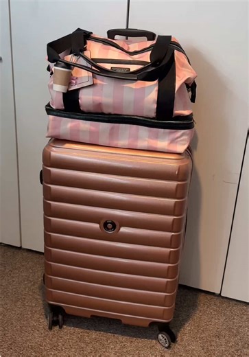 Viajar con Mascotas: Consejos y Maleta Ideal