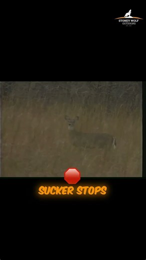 The best hunting trick to stop a deer in its tracks
