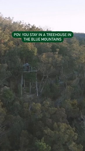 31K views · 322 reactions | Did you spy the hidden treehouse of your childhood dreams?  This is Love Cabins a uniquely designed, private bush cabin nestled amongst 600 acres of spectacular world heritage Blue Mountains bushland. ⛰️ Who would you recharge, reconnect and relax here with? Thanks for sharing your #feelNSW moments IG/ stephchoi | Visit NSW | Facebook