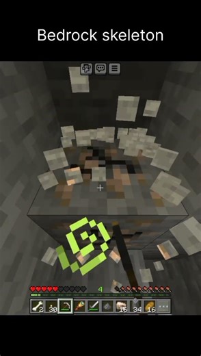 Bedrock skeleton vs Java skeleton #Minecraft #shots #viral shots